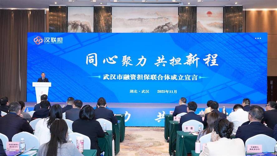 武漢市融資擔保聯合體正式揭牌